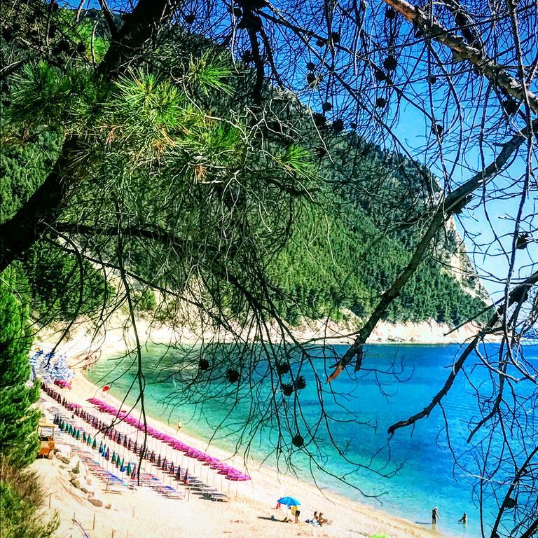 Sirolo Tutto L'Anno Daire Dış mekan fotoğraf